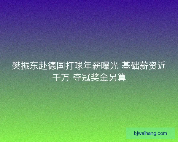樊振东赴德国打球年薪曝光 基础薪资近千万 夺冠奖金另算 樊振东赴德国打球年薪曝光 基础薪资近千万 夺冠奖金另算