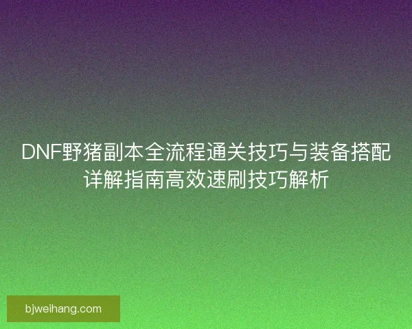 DNF野猪副本全流程通关技巧与装备搭配详解指南高效速刷技巧解析