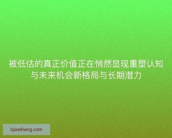 被低估的真正价值正在悄然显现重塑认知与未来机会新格局与长期潜力