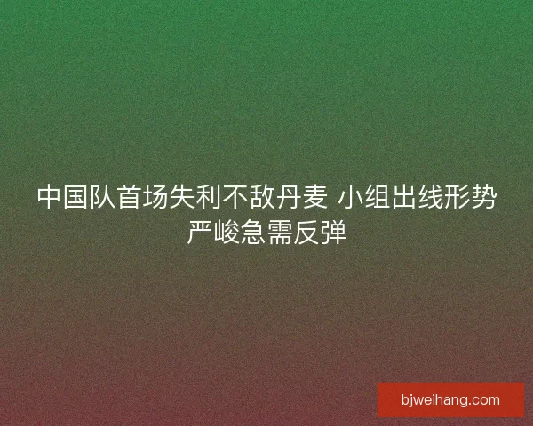 中国队首场失利不敌丹麦 小组出线形势严峻急需反弹