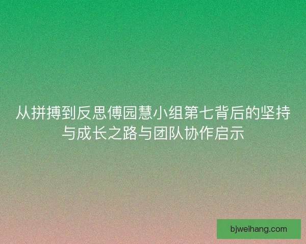从拼搏到反思傅园慧小组第七背后的坚持与成长之路与团队协作启示