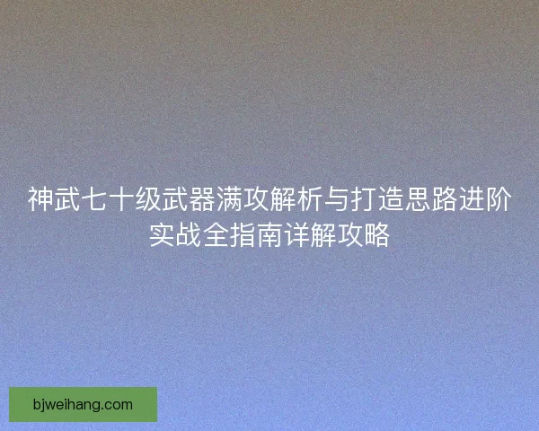 神武七十级武器满攻解析与打造思路进阶实战全指南详解攻略