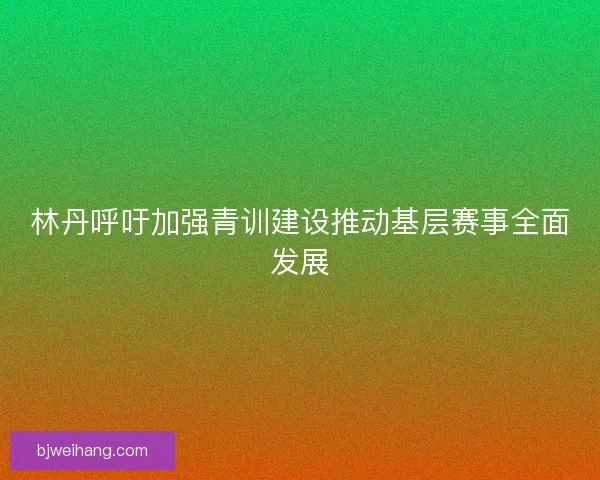林丹呼吁加强青训建设推动基层赛事全面发展 林丹呼吁加强青训建设推动基层赛事全面发展