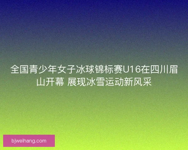 全国青少年女子冰球锦标赛U16在四川眉山开幕 展现冰雪运动新风采 全国青少年女子冰球锦标赛U16在四川眉山开幕 展现冰雪运动新风采