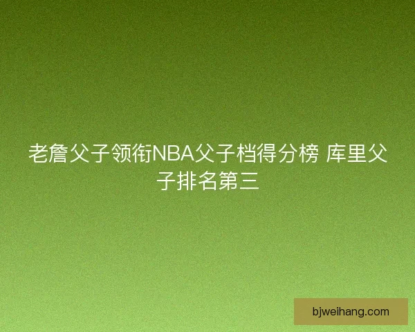 老詹父子领衔NBA父子档得分榜 库里父子排名第三